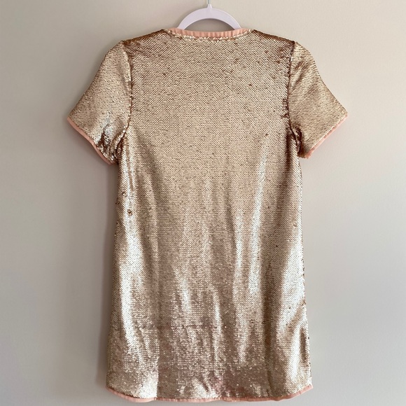 NWT TOBI SHIFT IN TIME BLUSH Sequin DRESS - Picture 7 of 8